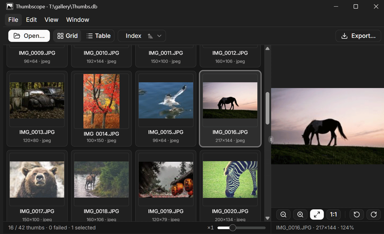 Thumbscope browsing a Thumbs.db: a thumbnail grid on the left and a larger preview of the selected image on the right